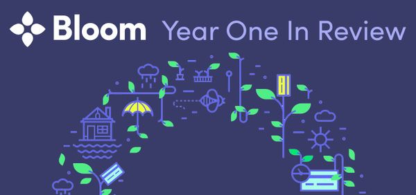 Bloom Year One in Review