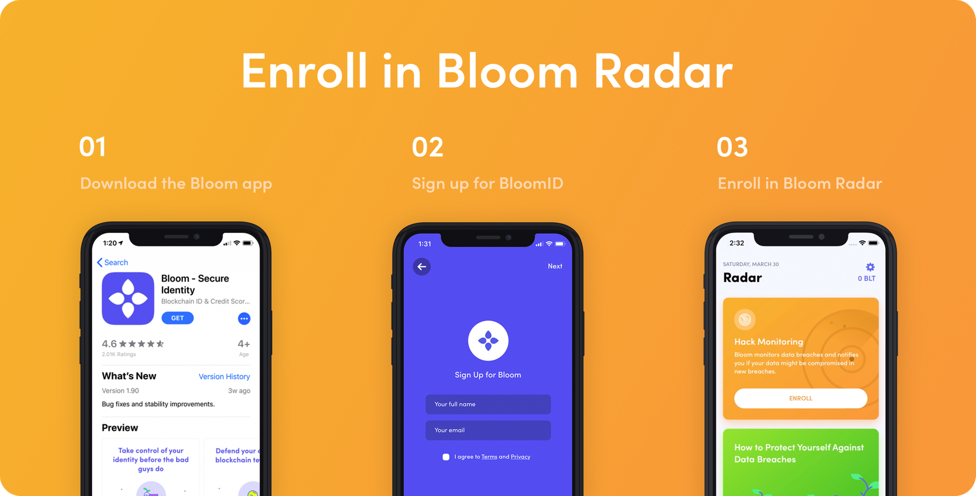 Introducing Bloom Radar Free Personal Hack Monitoring