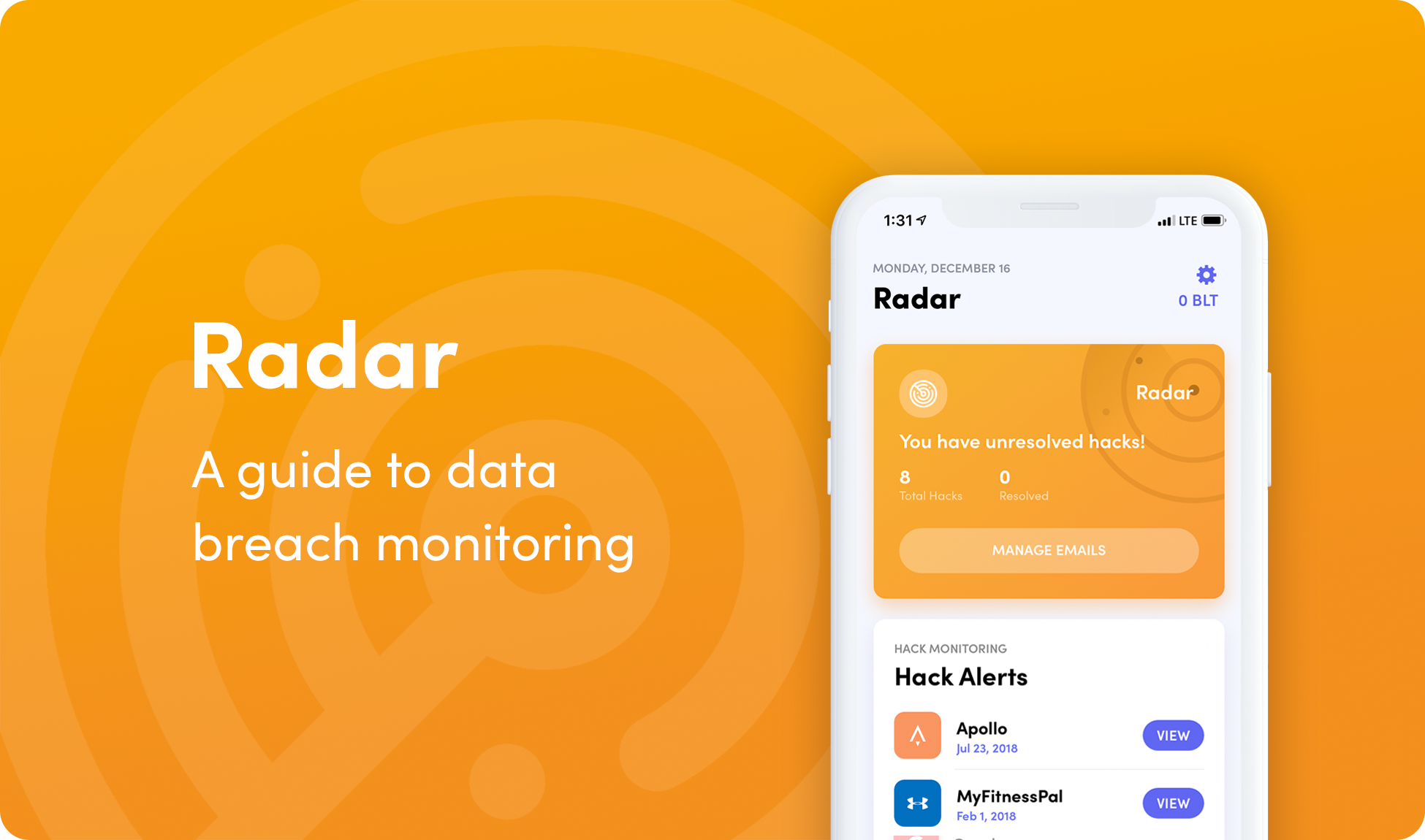 Bloom Radar A Guide to Data Breach Monitoring