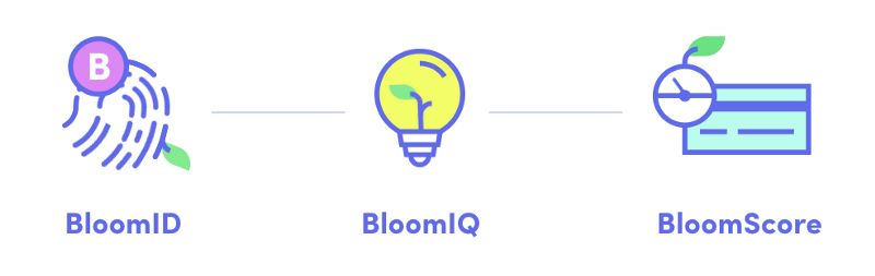 bloom tokens per eth