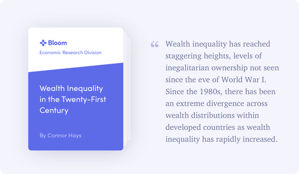 BERD Report: Wealth Inequality in the Twenty-First Century
