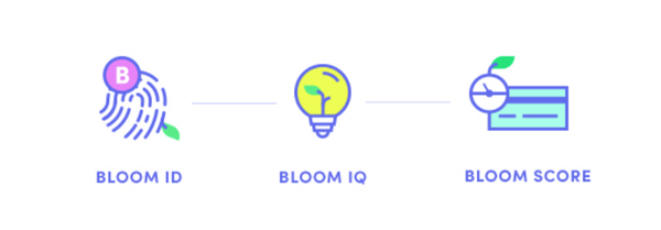 Bloom Weekly Update 10/05